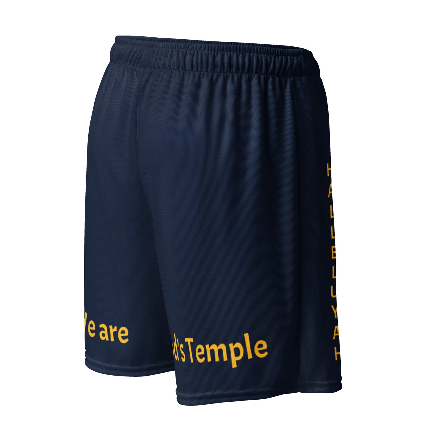 YAHUAH’s Temple P S Unisex mesh shorts