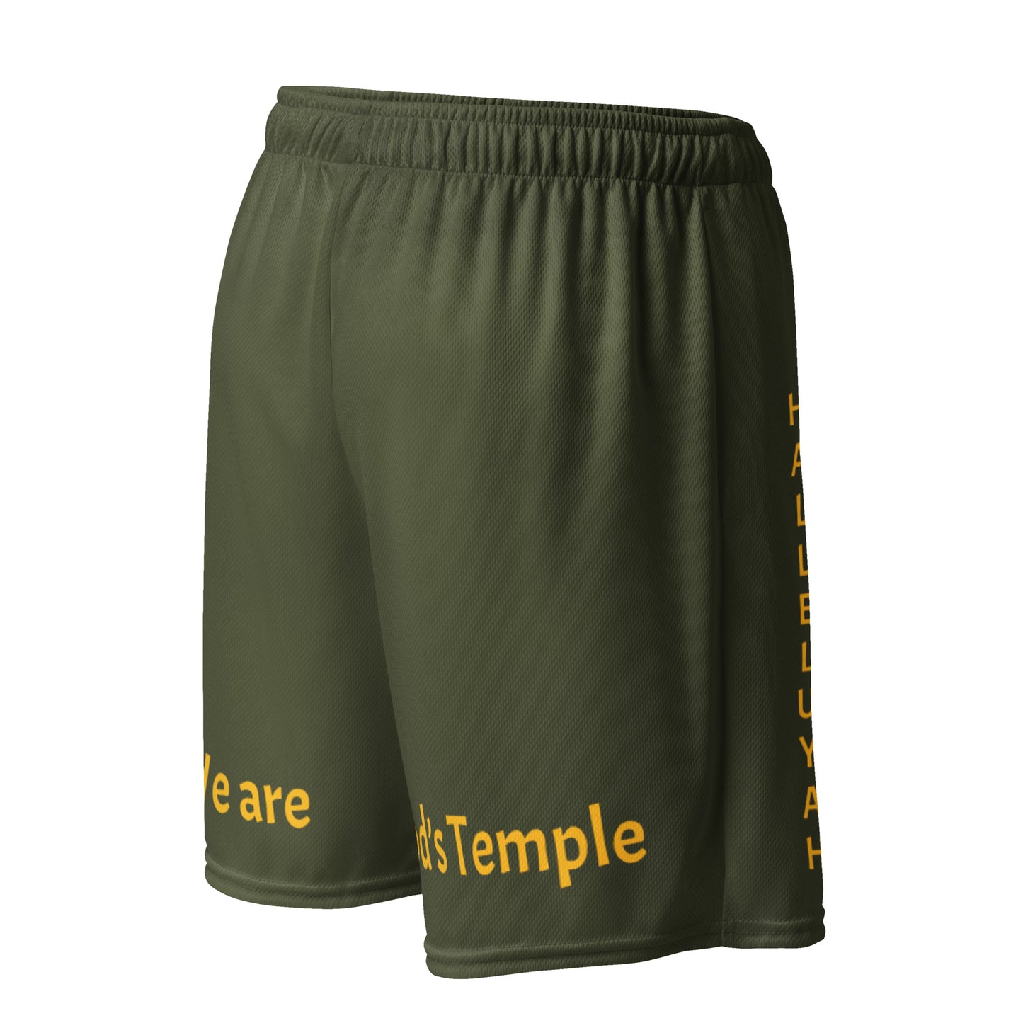 YAHUAH’s Temple P S Unisex mesh shorts