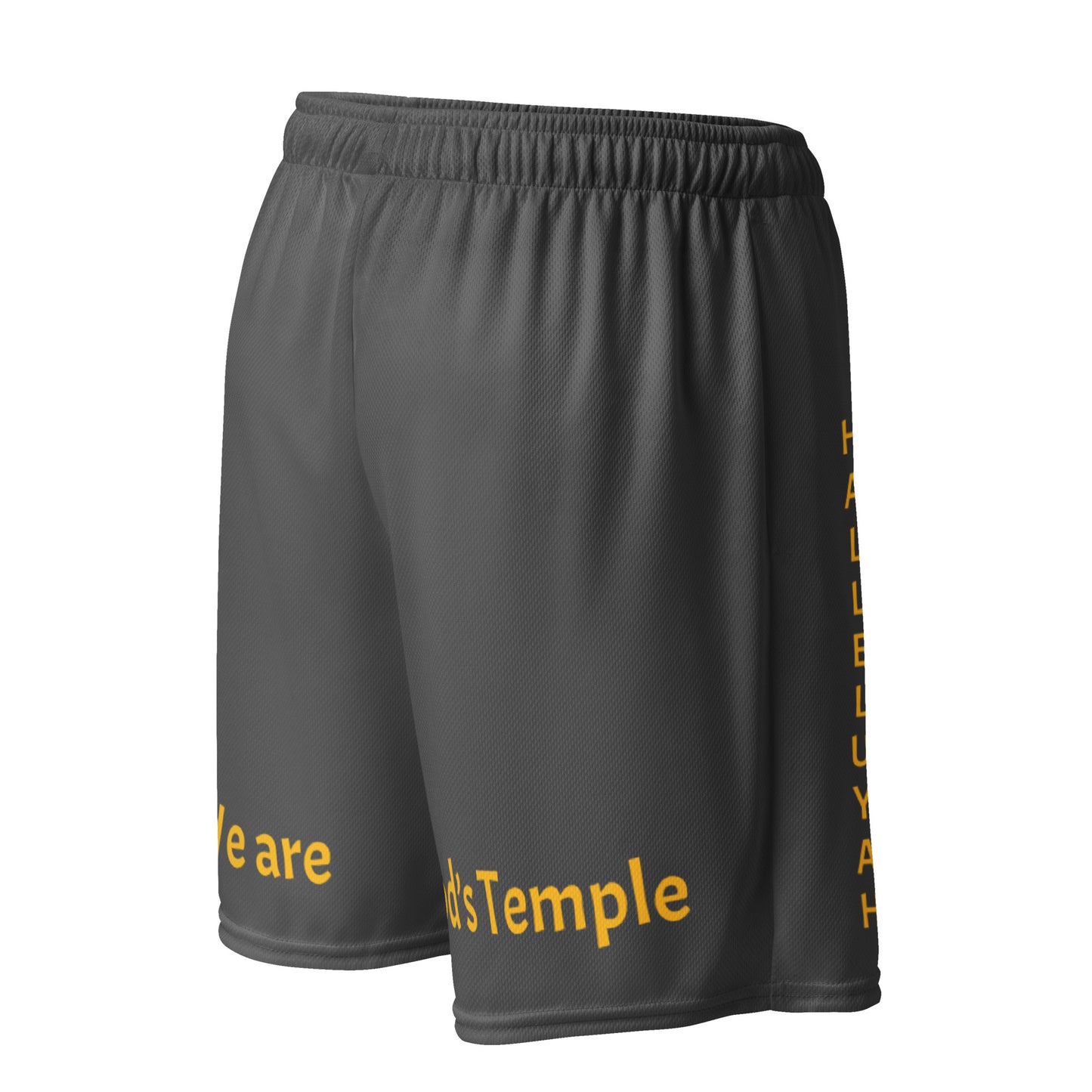 YAHUAH’s Temple P S Unisex mesh shorts
