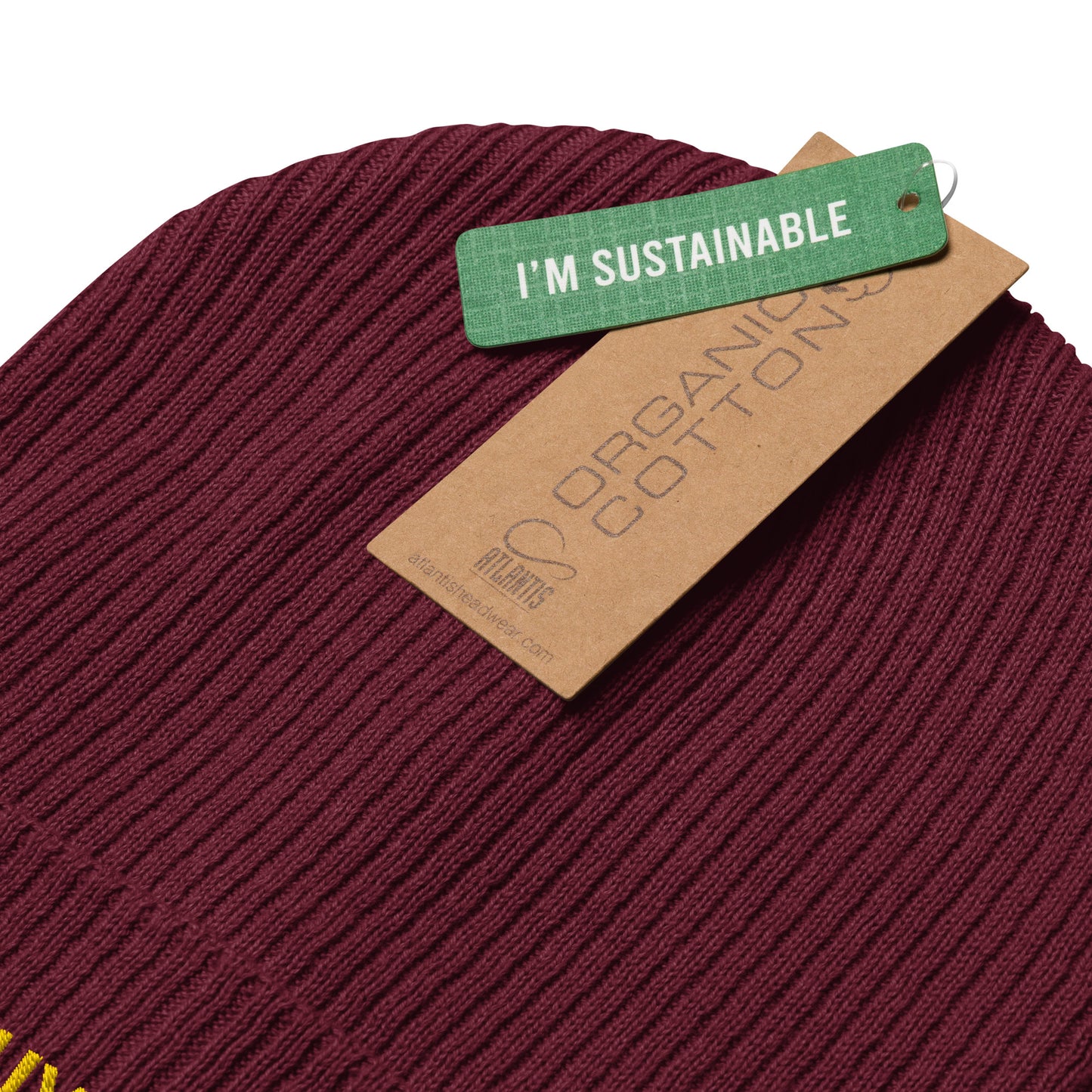 YAHUAH’s Temple H Organic ribbed beanie