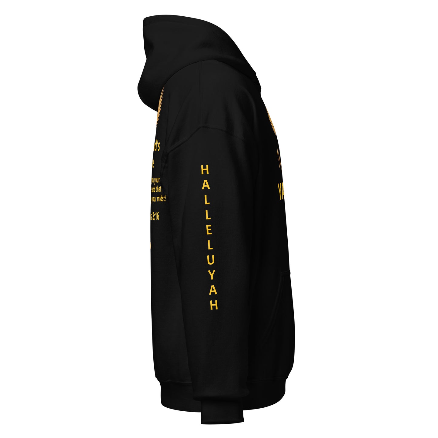 YAHUAH’s Temple J Unisex Hoodie